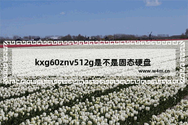 kxg60znv512g是不是固态硬盘 日本固态硬盘价格优势