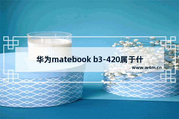 华为matebook b3-420属于什么款 固态硬盘b3错误