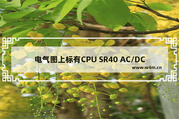 电气图上标有CPU SR40 AC/DC/RLY是什么 cpu sr