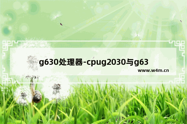 g630处理器-cpug2030与g630哪个好 cpug cpu 2030