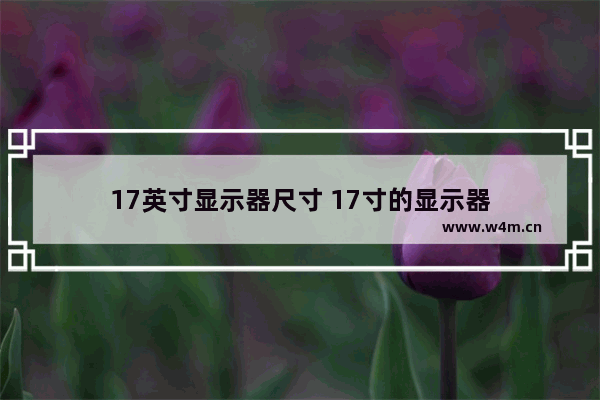 17英寸显示器尺寸 17寸的显示器