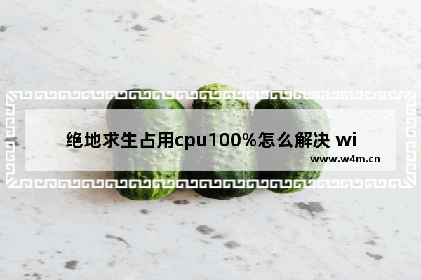 绝地求生占用cpu100%怎么解决 win7占用cpu