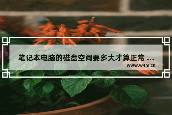 笔记本电脑的磁盘空间要多大才算正常 笔记本电脑硬盘内存