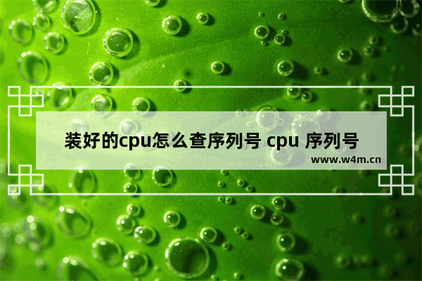 装好的cpu怎么查序列号 cpu 序列号获取