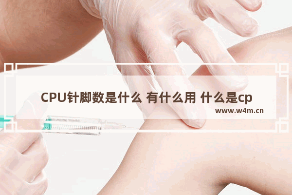 CPU针脚数是什么 有什么用 什么是cpu针脚