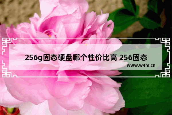 256g固态硬盘哪个性价比高 256固态硬盘性价比高的