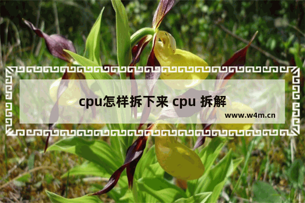 cpu怎样拆下来 cpu 拆解