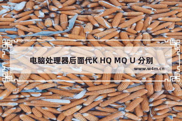 电脑处理器后面代K HQ MQ U 分别是什么意思 cpu u hq