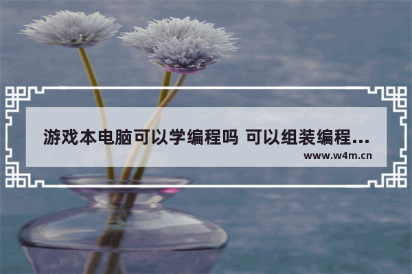 游戏本电脑可以学编程吗 可以组装编程的电脑游戏