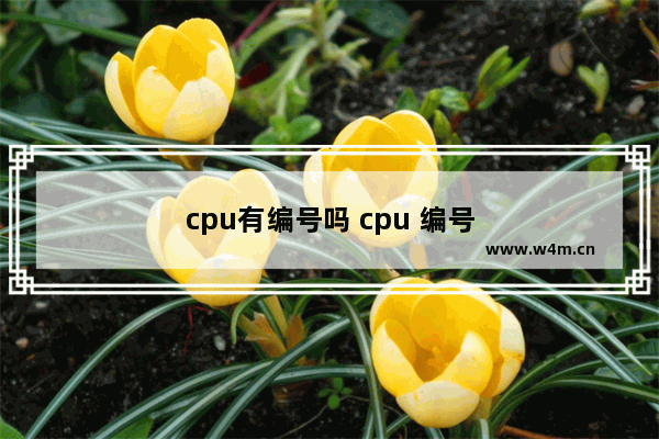 cpu有编号吗 cpu 编号