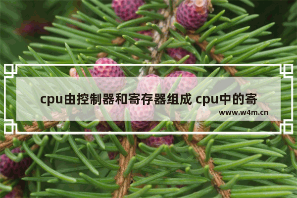 cpu由控制器和寄存器组成 cpu中的寄存器