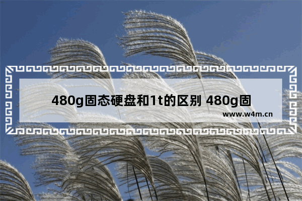 480g固态硬盘和1t的区别 480g固态硬盘价格