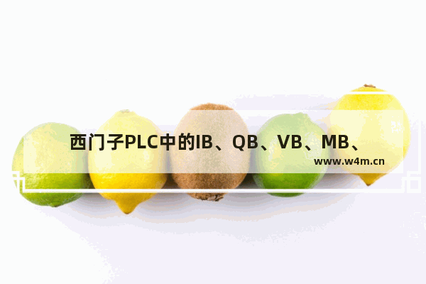 西门子PLC中的IB、QB、VB、MB、SMB、SB、LB、AC各代表什么意思啊 特别是AC可以存储什么样的数据 CPU名称上带T 带S 带K和不带都有什么不同