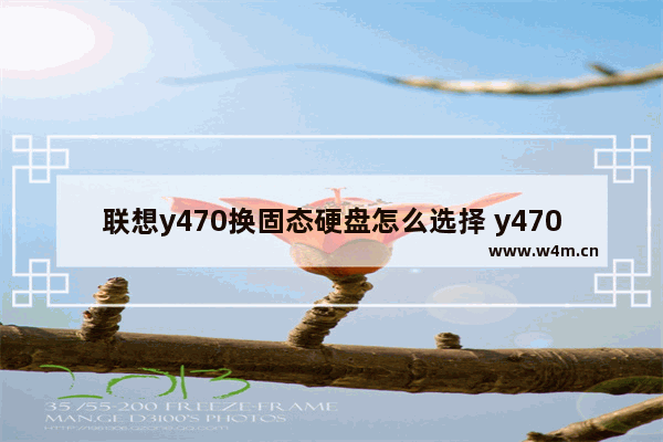 联想y470换固态硬盘怎么选择 y470固态硬盘尺寸