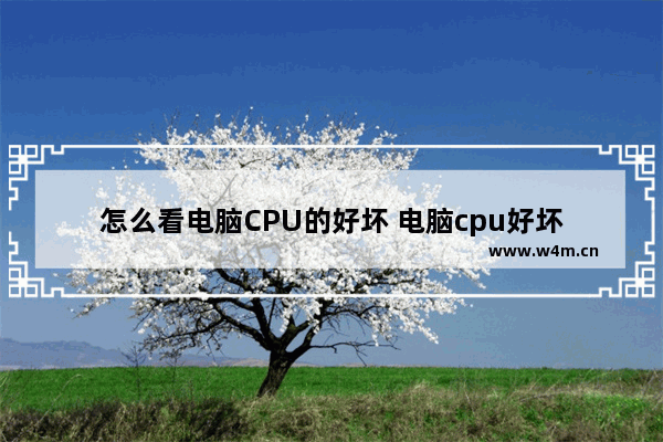 怎么看电脑CPU的好坏 电脑cpu好坏