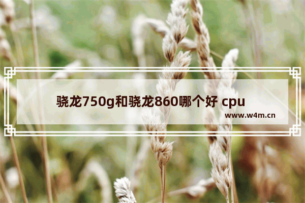 骁龙750g和骁龙860哪个好 cpu 860