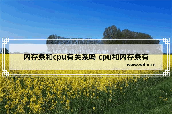 内存条和cpu有关系吗 cpu和内存条有什么区别