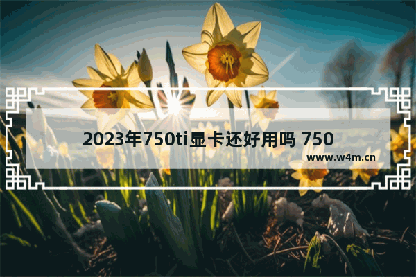 2023年750ti显卡还好用吗 750泰显卡