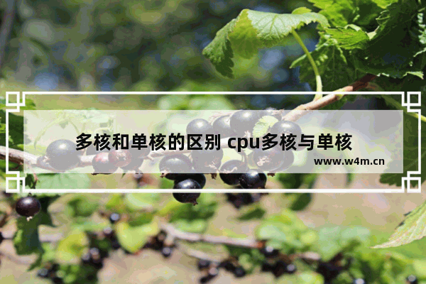 多核和单核的区别 cpu多核与单核