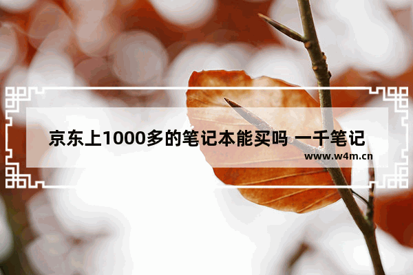 京东上1000多的笔记本能买吗 一千笔记本电脑