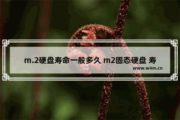 m.2硬盘寿命一般多久 m2固态硬盘 寿命多久