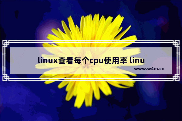 linux查看每个cpu使用率 linux cpu 进程