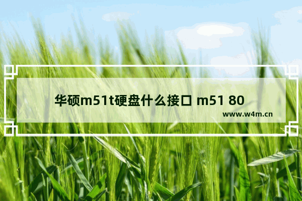 华硕m51t硬盘什么接口 m51 80 加固态硬盘