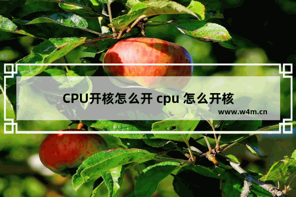 CPU开核怎么开 cpu 怎么开核