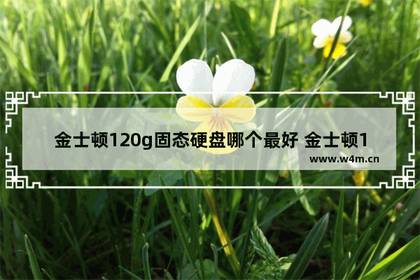 金士顿120g固态硬盘哪个最好 金士顿120g固态硬盘拆