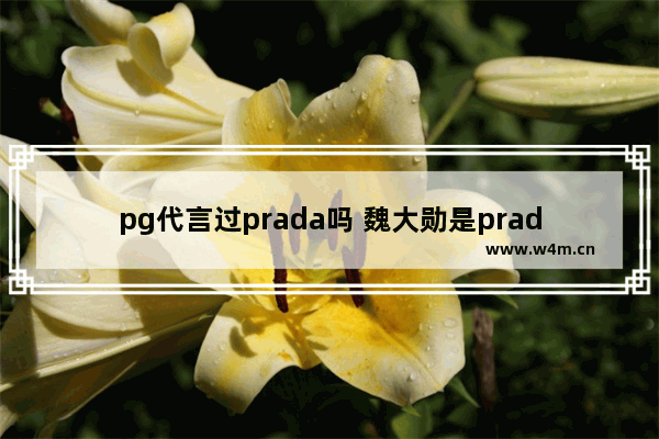 pg代言过prada吗 魏大勋是prada代言人吗