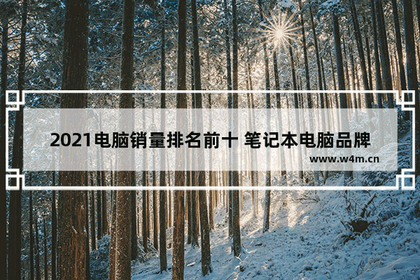 2021电脑销量排名前十 笔记本电脑品牌排名表格