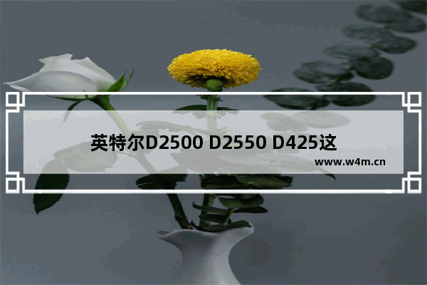 英特尔D2500 D2550 D425这几款CPU怎么样啊 能玩3D游戏吗 d2550 cpu