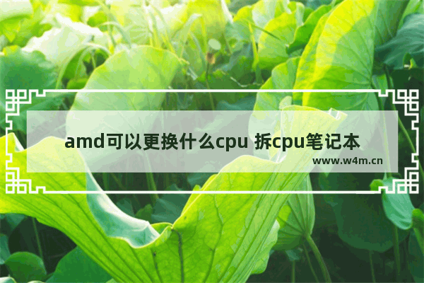 amd可以更换什么cpu 拆cpu笔记本