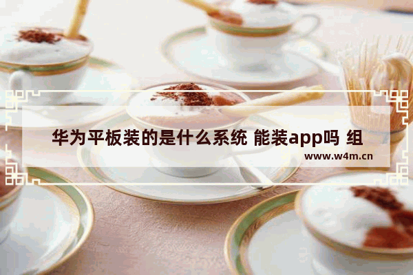 华为平板装的是什么系统 能装app吗 组装平板电脑能装什么系统