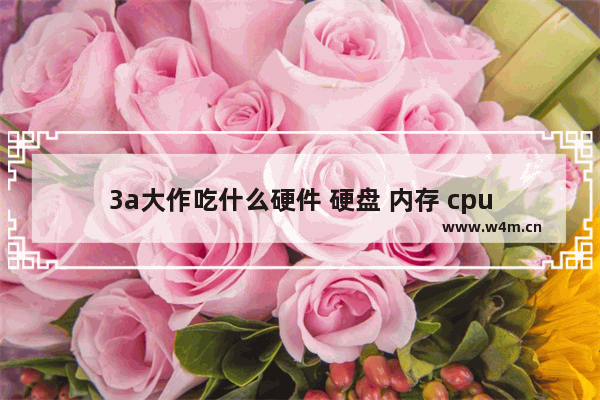 3a大作吃什么硬件 硬盘 内存 cpu