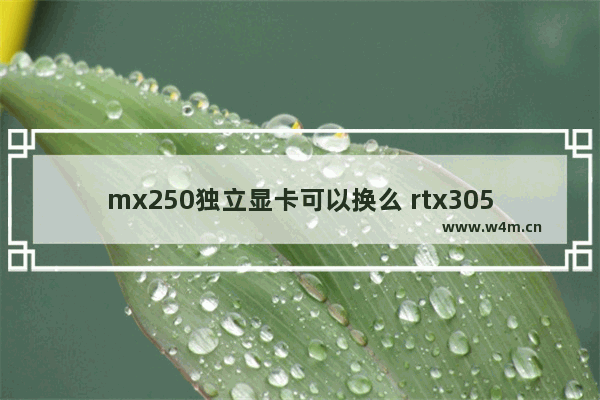 mx250独立显卡可以换么 rtx3050为什么叫智商卡