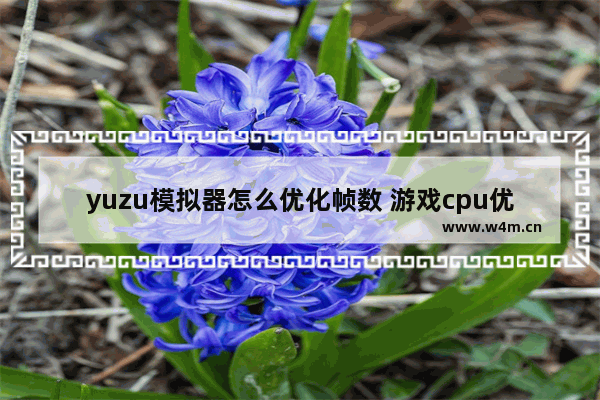 yuzu模拟器怎么优化帧数 游戏cpu优化