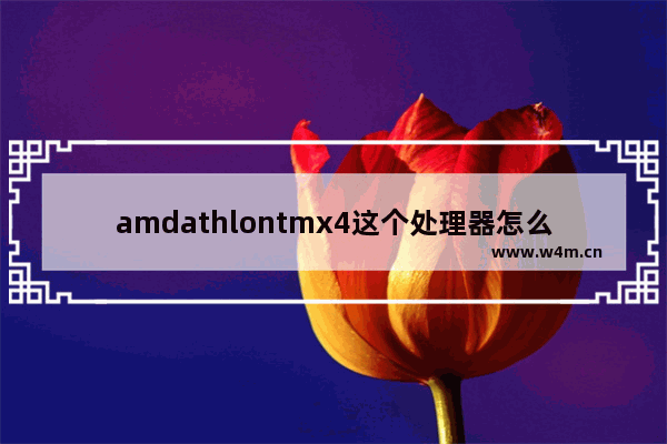 amdathlontmx4这个处理器怎么样 mx4的cpu