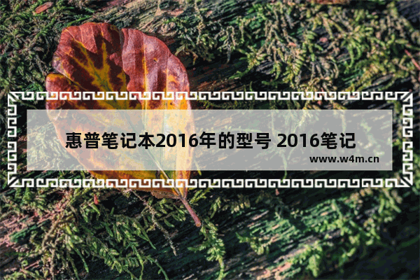 惠普笔记本2016年的型号 2016笔记本电脑大学生