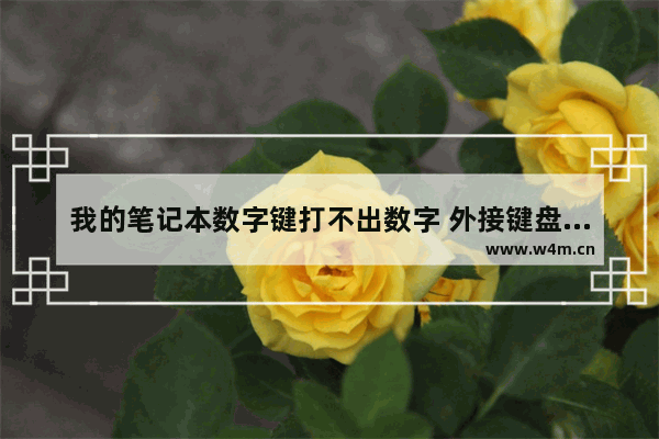 我的笔记本数字键打不出数字 外接键盘也一样。这是什么情况啊 笔记本电脑数字键盘切换