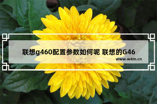 联想g460配置参数如何呢 联想的G460笔记本配置