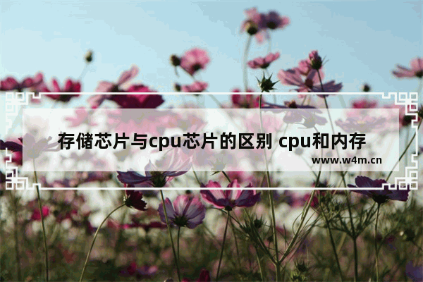 存储芯片与cpu芯片的区别 cpu和内存储器的区别