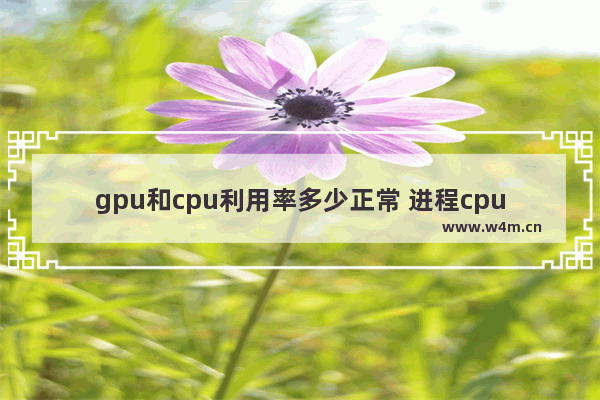 gpu和cpu利用率多少正常 进程cpu占用率