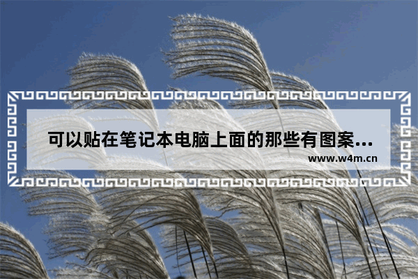 可以贴在笔记本电脑上面的那些有图案的纸是什么 电脑屏幕膜是哪一个品牌