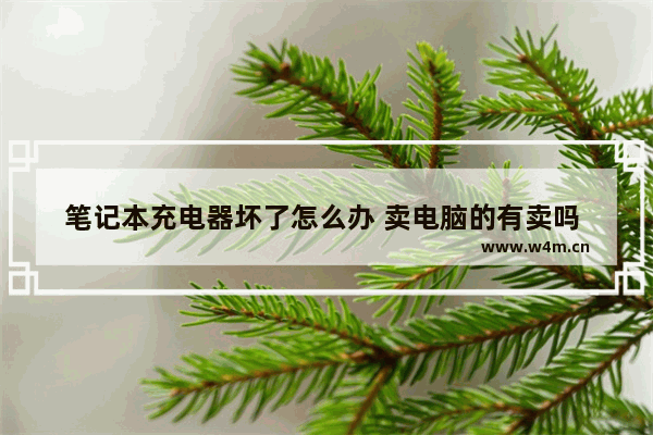 笔记本充电器坏了怎么办 卖电脑的有卖吗 笔记本电脑的充电器是12伏吗