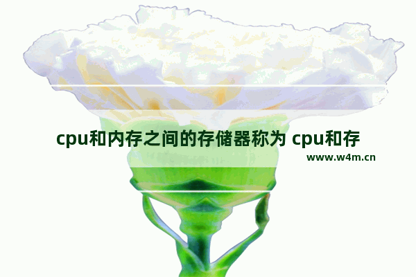 cpu和内存之间的存储器称为 cpu和存储器是