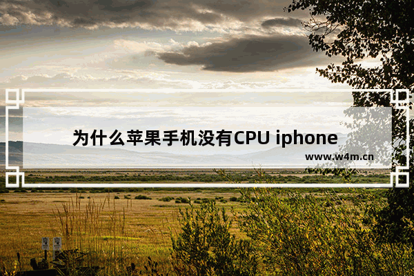 为什么苹果手机没有CPU iphone cpu坏了