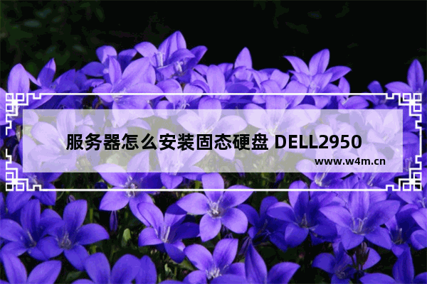 服务器怎么安装固态硬盘 DELL2950 固态硬盘组装电脑服务器