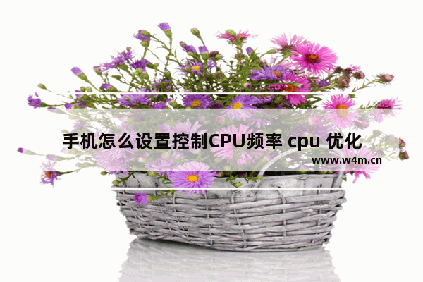 手机怎么设置控制CPU频率 cpu 优化软件