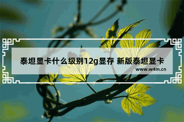 泰坦显卡什么级别12g显存 新版泰坦显卡